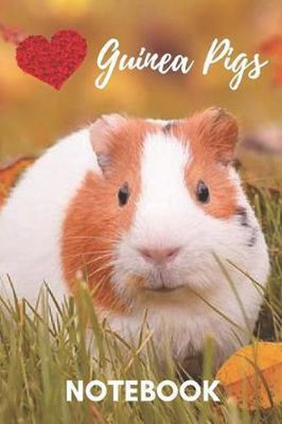 Guinea Pig Notebook, Animal Gift And Notebooks 9781096768289 Boeken