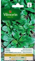 Vilmorin - Veldsla Groene Cambrai - V962