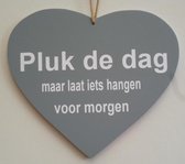 Pluk de dag grijs