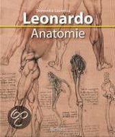 Leonardo Anatomie