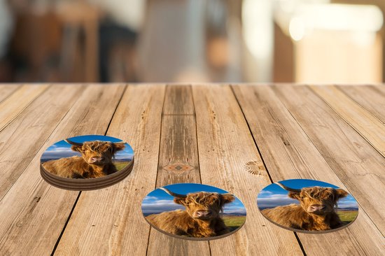 Sous-verres pour verres - Rond - Highlander écossais - Clair - Naturel - 10x10 cm - Sous-verres en verre - 6 pièces