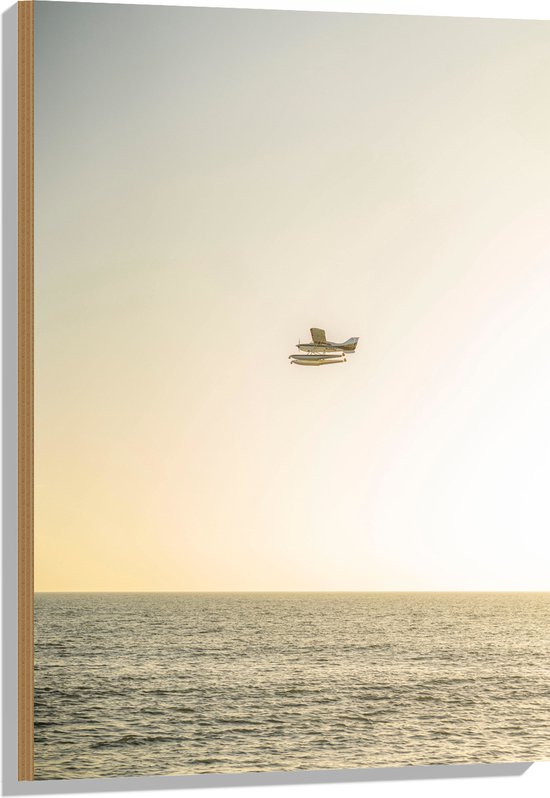 WallClassics - Hout - Klein Vliegtuig boven het Zeewater - 60x90 cm - 12 mm dik - Foto op Hout (Met Ophangsysteem)