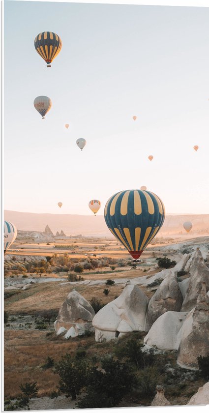 WallClassics - PVC Schuimplaat- Luchtballonnen boven Landschap - 50x100 cm Foto op PVC Schuimplaat