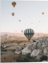 WallClassics - Vlag - Luchtballonnen boven Landschap - 30x40 cm Foto op Polyester Vlag