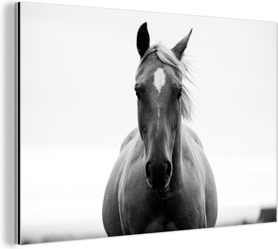 Décoration murale Métal - Peinture Aluminium Industriel - Cheval - Zwart - Wit - Portrait - 90x60 cm - Dibond - Photo sur aluminium - Décoration murale industrielle - Pour le salon/chambre