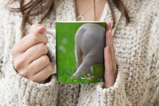 Mug - Mug à café - Animaux - Porcinet - Cochon - Mugs - 350 ML - Tasse - Mugs à café - Mug à thé