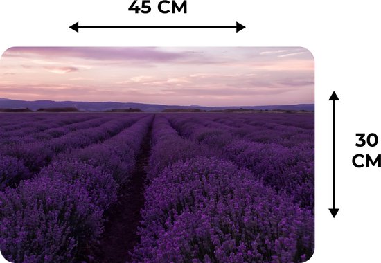 Set de Table - Napperons de Table en Plastique - Lavande - Violet - Fleurs - Nature - 45x30 cm - 6 pièces - Résistant à la Chaleur - Antidérapant - Coussinet - Amovible