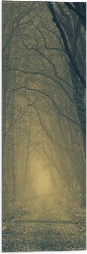 WallClassics - Vlag - Mist op Bospad Omringd door Bomen - 20x60 cm Foto op Polyester Vlag