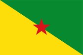 Vlag Frans-Guyana 30x45cm