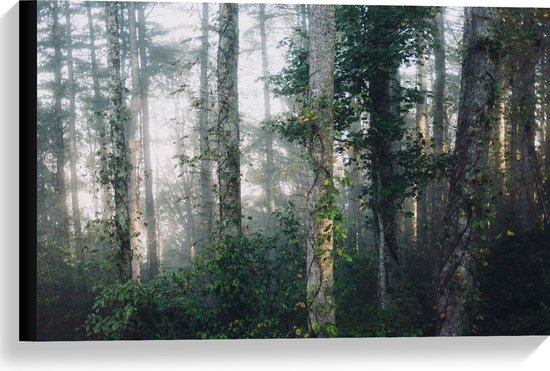 WallClassics - Canvas  - Mist tussen Bomen - 60x40 cm Foto op Canvas Schilderij (Wanddecoratie op Canvas)