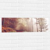 WallClassics - Muursticker - Mistig Herfstbos - 90x30 cm Foto op Muursticker