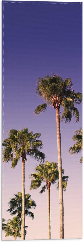 WallClassics - Vlag - Palmboomtoppen in de lucht - 20x60 cm Foto op Polyester Vlag