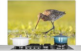 Spatscherm keuken 120x80 cm - Kookplaat achterwand Vogels - Gras - Landschap - Grutto - Muurbeschermer - Spatwand fornuis - Hoogwaardig aluminium