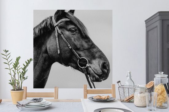 Stickers Stickers muraux - Cheval - Licol - Portrait - 120x120 cm - Film adhésif XXL