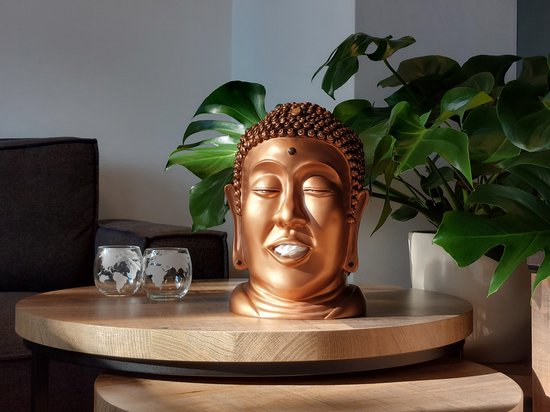Bronzen Boeddha hoofd tissuehouder op een houten tafel naast planten.