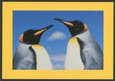Pingouins - Cartes d'hiver - Set de 10 cartes simples avec enveloppes en éco-coton