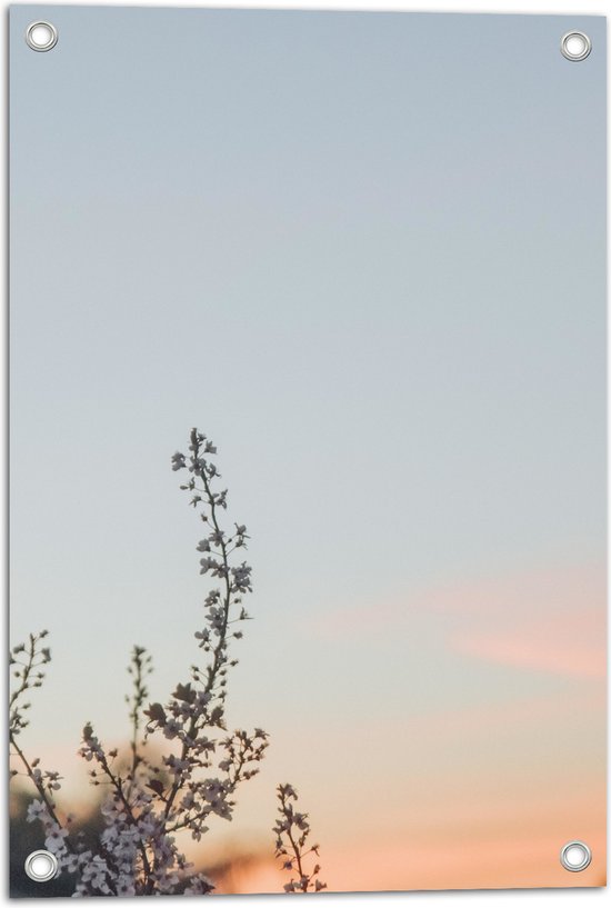 WallClassics - Poster de Jardin - Branche Fleurie Contre Ciel Clair - 40x60 cm Photo sur Poster de Jardin (décoration murale pour l'extérieur et l'intérieur)