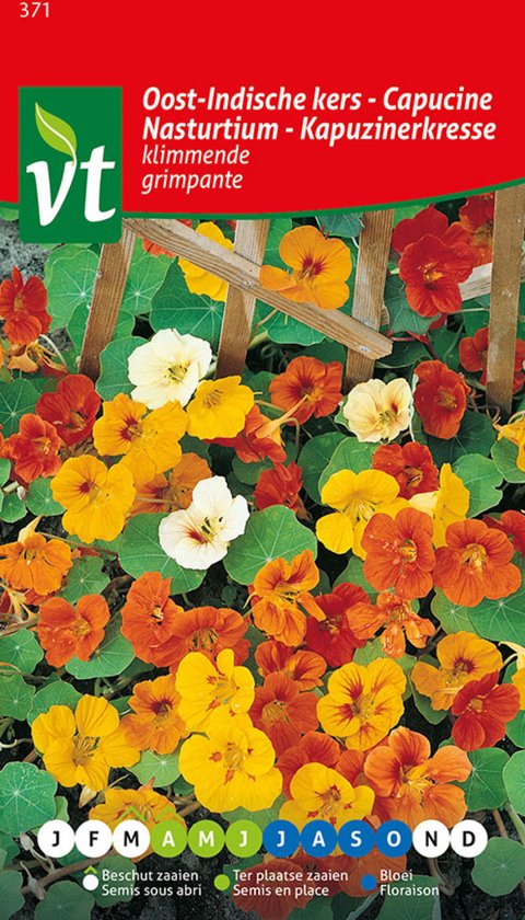 L'essentiel des fleurs : 1000 couleurs pour votre jardin - 5 sachets de graines