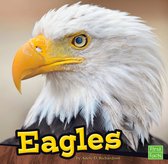 Birds - Eagles