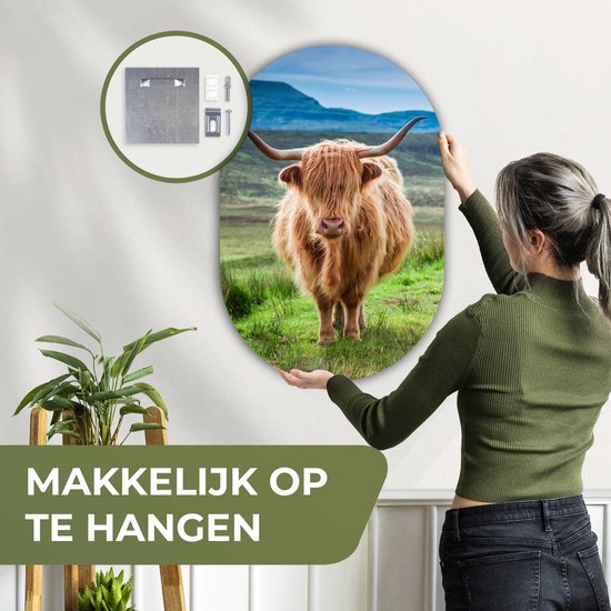 Ovale Mural - Décoration murale Plastique - Peinture Ovale - Highlander écossais - Vache - Nature - Berg - Herbe - 60x90 cm - Forme miroir ovale sur plastique