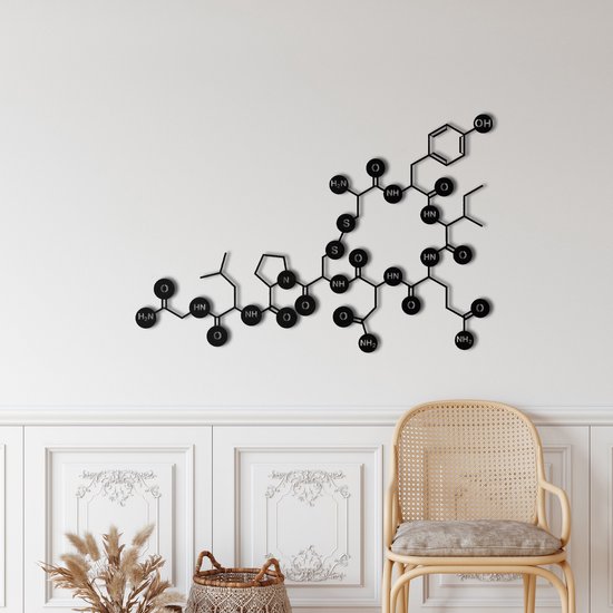 Wanddecoratie | Oxytocine-Molecuul / Oxytocin Molecule | Metal - Wall Art | Muurdecoratie | Woonkamer | Buiten Decor |Zwart| 60x39cm
