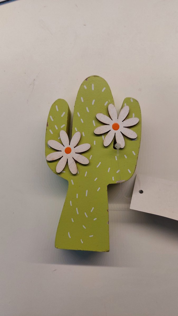 merkloos groene houten cactus met bloemversiering