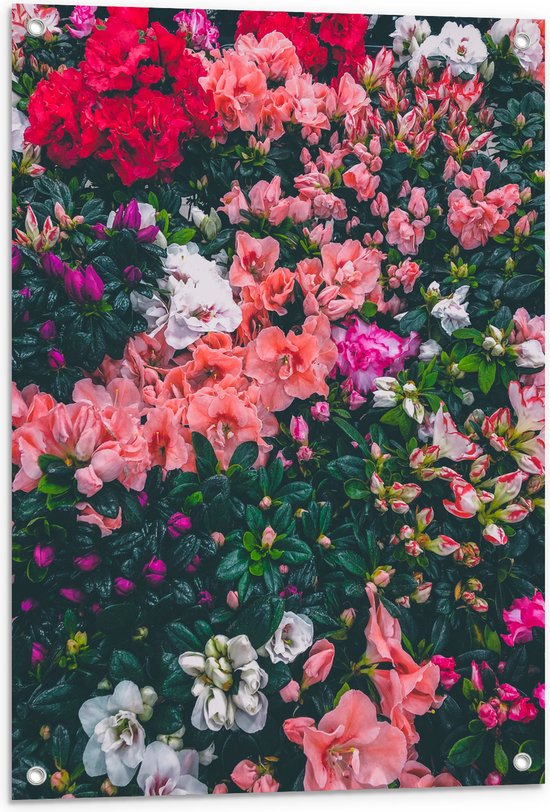 WallClassics - Poster de jardin - Buisson de fleurs avec différentes Fleurs roses - 60x80 cm Photo sur Poster de jardin (décoration murale pour l'extérieur et l'intérieur)