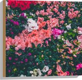 WallClassics - Hout - Bloemenstruik met Verschillende Roze Bloemen - 50x50 cm - 12 mm dik - Foto op Hout (Met Ophangsysteem)