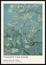 Affiche Fleur d'Amandier - Vincent van Gogh - Grand 30x40 - Reproduction d'Art - Branches d'Amandier