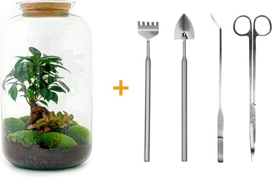 Terrarium Dome ↑ 20 Cm Ecosysteem Plant Kamerplanten DIY Planten Mini Hark Schep Pincet 597163420