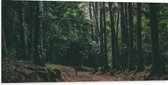 WallClassics - Dibond - Bruin Pad in Bos - 100x50 cm Foto op Aluminium (Wanddecoratie van metaal)