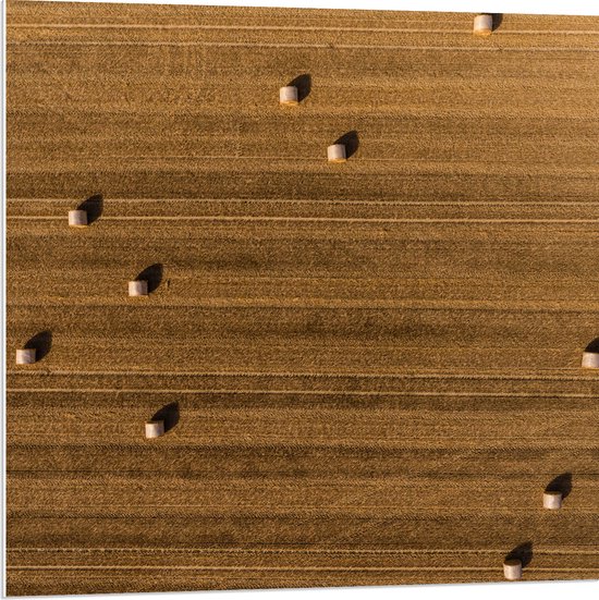 WallClassics - PVC Schuimplaat - Bovenaanzicht van Hooibalen op Landbouwgrond - 80x80 cm Foto op PVC Schuimplaat (Met Ophangsysteem)
