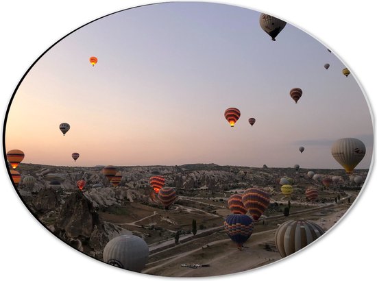 WallClassics - Dibond Ovaal - Luchtballonnen boven Bergachtig Landschap - 40x30 cm Foto op Ovaal (Met Ophangsysteem)