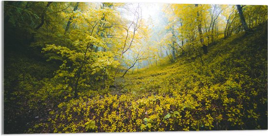 WallClassics - Verre Acrylique - Colline envahie par la forêt - 100x50 cm Photo sur Verre Acrylique (Décoration murale sur Acrylique)
