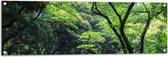 WallClassics - Affiche de jardin – Arbres variés dans la forêt – Photo 120x40 cm sur affiche de jardin (décoration murale pour l'extérieur et l'intérieur)
