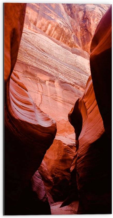WallClassics - Dibond - Antelope Canyon Ravijn - 50x100 cm Foto op Aluminium (Wanddecoratie van metaal)