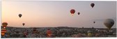 WallClassics - Vlag - Luchtballonnen boven Bergachtig Landschap - 60x20 cm Foto op Polyester Vlag