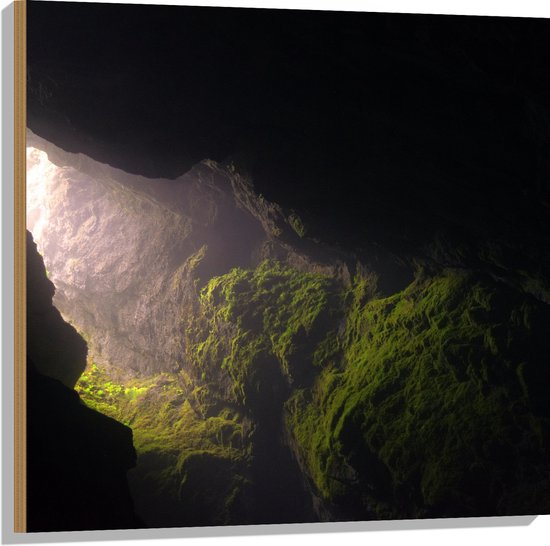 WallClassics - Hout - Licht Schijnend in Grot op Mos - 80x80 cm - 12 mm dik - Foto op Hout (Met Ophangsysteem)