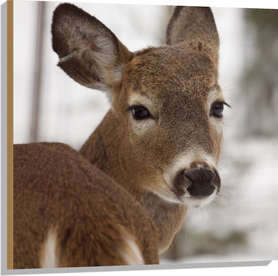 WallClassics - Hout - Hertje in de Sneeuw - 80x80 cm - 12 mm dik - Foto op Hout (Met Ophangsysteem)