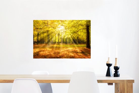Affiche Arbre - Nature - Soleil - Paysage - Forêt - 90x60 cm