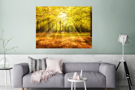Affiche Arbre - Nature - Soleil - Paysage - Forêt - 120x90 cm