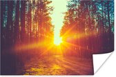 Poster Zonsondergang - Bomen - Bos - Natuur - 30x20 cm