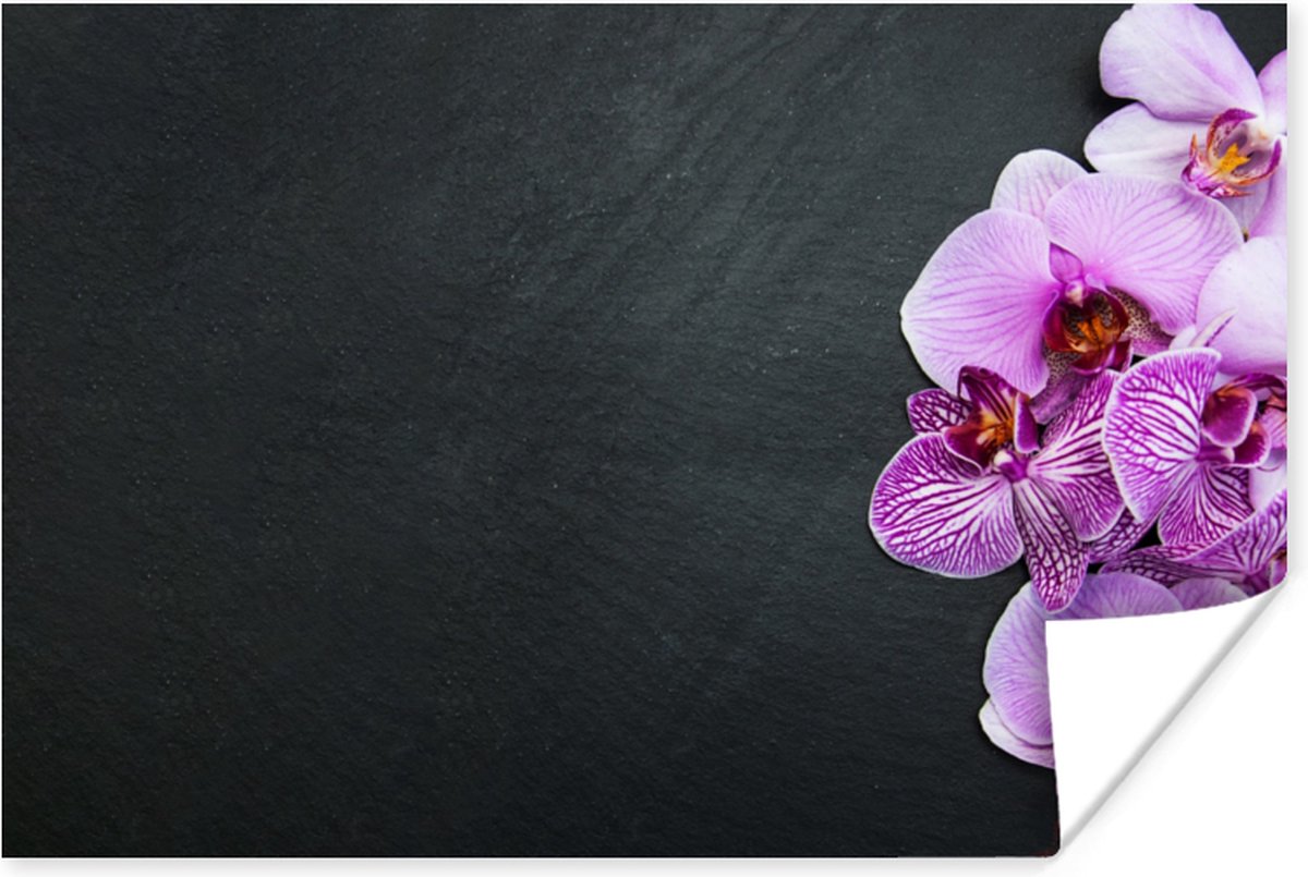 Poster Orchidee - Bloemen - Roze - Flora - 60x40 cm