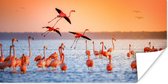 PosterMonkey - Poster - Fotolijst - Vogel - Flamingo - Zonsondergang - Water - Tropisch - 160x80 cm - Poster in lijst - Poster flamingo - Poster frame - Poster dieren
