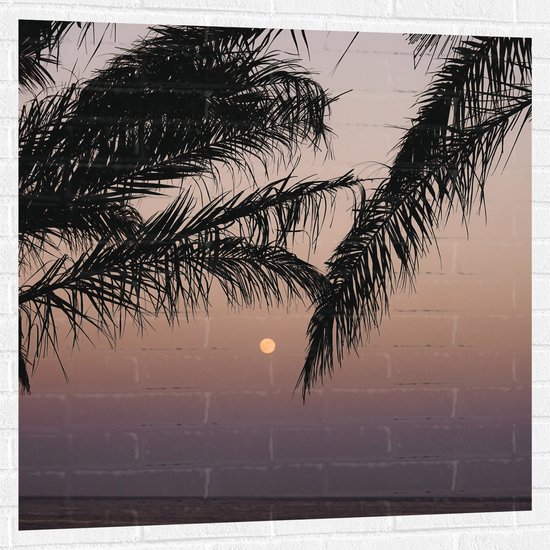 WallClassics - Muursticker - Takken van Boom op Strand met Kleine Zon - 100x100 cm Foto op Muursticker