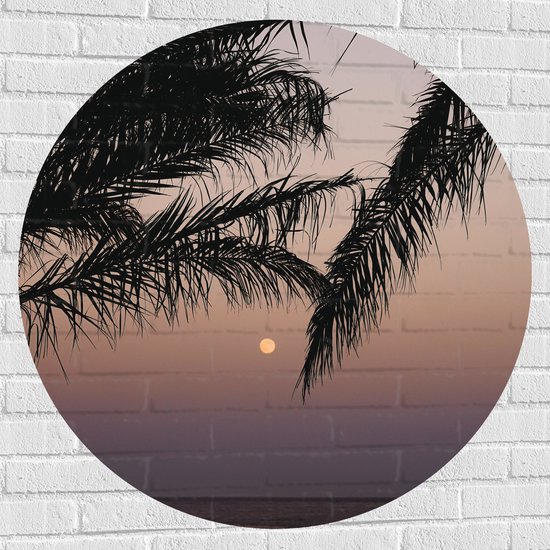 WallClassics - Muursticker Cirkel - Takken van Boom op Strand met Kleine Zon - 100x100 cm Foto op Muursticker