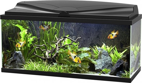 Fishsupply aquarium 80 - compleet aquarium - aquarium met led verlichting - groot aquarium met verwarming en filter