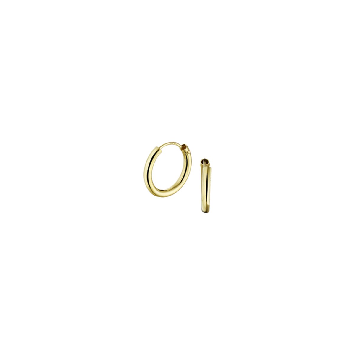 The Jewelry Collection Oorringen Ronde Buis - Geelgoud