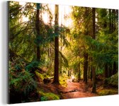 Wanddecoratie Metaal - Aluminium Schilderij Industrieel - Bos - Pad - Bomen - Groen - Zon - Natuur - 30x20 cm - Dibond - Foto op aluminium - Industriële muurdecoratie - Voor de woonkamer/slaapkamer