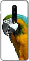 Geschikt voor OnePlus 7 Pro hoesje - Papegaai - Vogel - Veren - Portret - Siliconen Telefoonhoesje